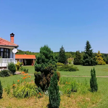 Apartment Cosic Kursumlija
