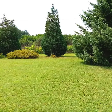 Cosic * Kursumlija