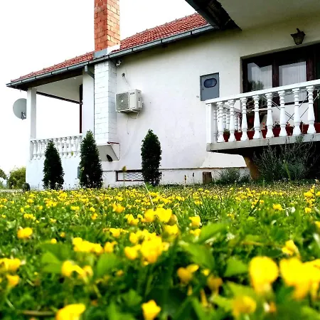 Cosic Apartmán Kursumlija