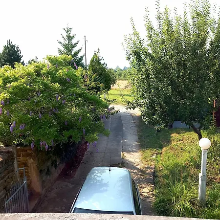 Cosic Appartement